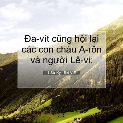 Picture 07 - 1 Sử Ký 15:4 VIE - Đa-vít cũng hội lại các con cháu A-rôn - Bible Verse Picture