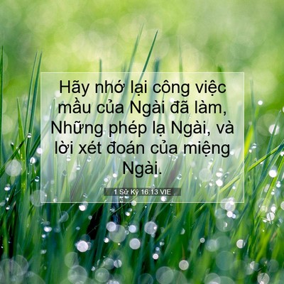 Picture 07 - 1 Sử Ký 16:13 VIE - Hãy nhớ lại công việc mầu của Ngài - Bible Verse Picture