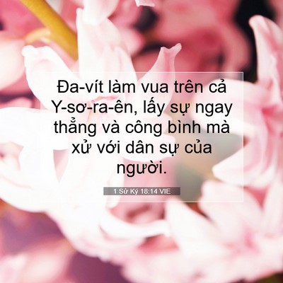Picture 07 - 1 Sử Ký 18:14 VIE - Đa-vít làm vua trên cả Y-sơ-ra-ên, lấy - Bible Verse Picture