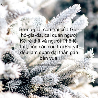 Picture 07 - 1 Sử Ký 18:17 VIE - Bê-na-gia, con trai của Giê-hô-gia-đa, cai - Bible Verse Picture