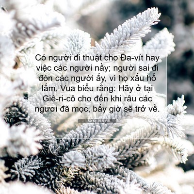 Picture 07 - 1 Sử Ký 19:5 VIE - Có người đi thuật cho Đa-vít hay việc - Bible Verse Picture