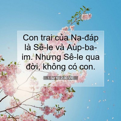 Picture 07 - 1 Sử Ký 2:30 VIE - Con trai của Na-đáp là Sê-le và - Bible Verse Picture