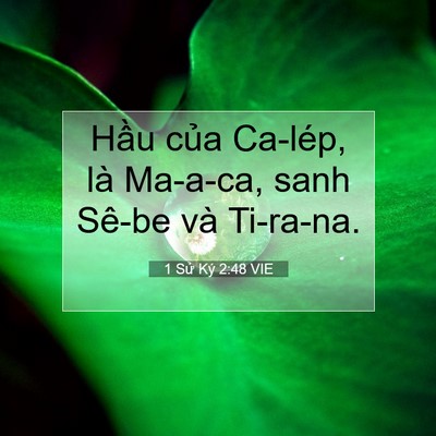 Picture 07 - 1 Sử Ký 2:48 VIE - Hầu của Ca-lép, là Ma-a-ca, sanh Sê-be và - Bible Verse Picture
