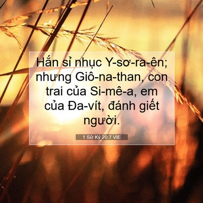 Picture 07 - 1 Sử Ký 20:7 VIE - Hắn sỉ nhục Y-sơ-ra-ên; nhưng - Bible Verse Picture