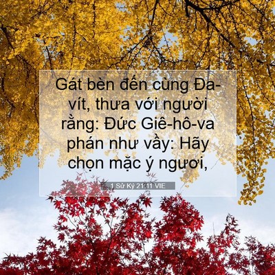 Picture 07 - 1 Sử Ký 21:11 VIE - Gát bèn đến cùng Đa-vít, thưa với - Bible Verse Picture