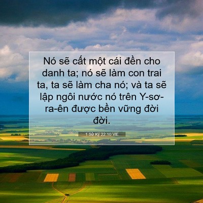 Picture 07 - 1 Sử Ký 22:10 VIE - Nó sẽ cất một cái đền cho danh ta; nó - Bible Verse Picture