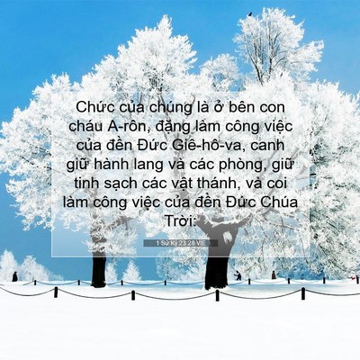 Picture 07 - 1 Sử Ký 23:28 VIE - Chức của chúng là ở bên con cháu - Bible Verse Picture