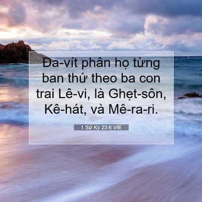Picture 07 - 1 Sử Ký 23:6 VIE - Đa-vít phân họ từng ban thứ theo ba con - Bible Verse Picture