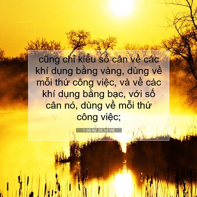 Picture 07 - 1 Sử Ký 28:14 VIE - cũng chỉ kiểu số cân về các khí - Bible Verse Picture
