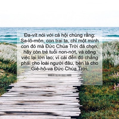 Picture 07 - 1 Sử Ký 29:1 VIE - Đa-vít nói với cả hội chúng rằng: - Bible Verse Picture