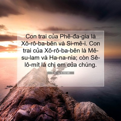 Picture 07 - 1 Sử Ký 3:19 VIE - Con trai của Phê-đa-gia là Xô-rô-ba-bên - Bible Verse Picture