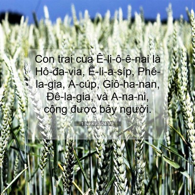 Picture 07 - 1 Sử Ký 3:24 VIE - Con trai của Ê-li-ô-ê-nai là Hô-đa-via, - Bible Verse Picture