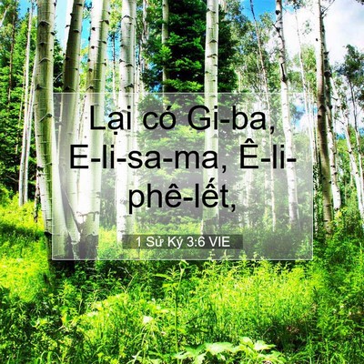 Picture 07 - 1 Sử Ký 3:6 VIE - Lại có Gi-ba, E-li-sa-ma, - Bible Verse Picture