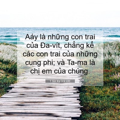 Picture 07 - 1 Sử Ký 3:9 VIE - Aáy là những con trai của Đa-vít, chẳng - Bible Verse Picture