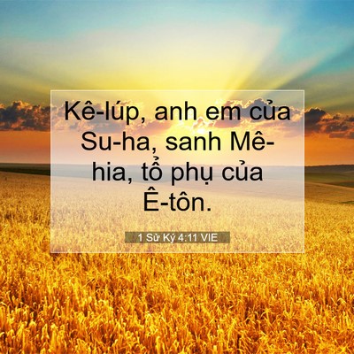 Picture 07 - 1 Sử Ký 4:11 VIE - Kê-lúp, anh em của Su-ha, sanh Mê-hia, tổ - Bible Verse Picture