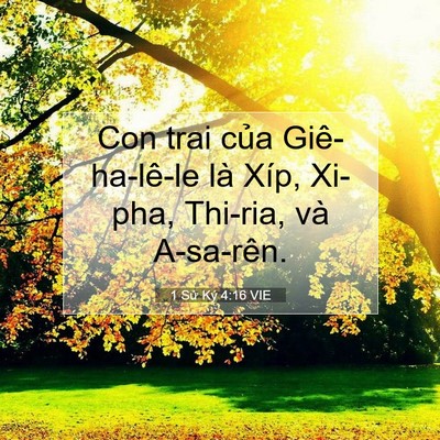 Picture 07 - 1 Sử Ký 4:16 VIE - Con trai của Giê-ha-lê-le là Xíp, Xi-pha, - Bible Verse Picture