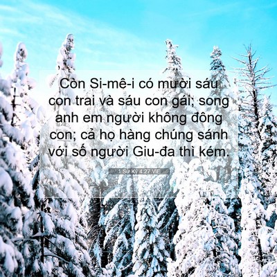 Picture 07 - 1 Sử Ký 4:27 VIE - Còn Si-mê-i có mười sáu con trai và sáu - Bible Verse Picture