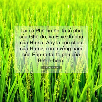 Picture 07 - 1 Sử Ký 4:4 VIE - Lại có Phê-nu-ên, là tổ phụ của - Bible Verse Picture