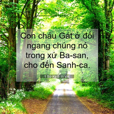 Picture 07 - 1 Sử Ký 5:11 VIE - Con cháu Gát ở đối ngang chúng nó trong - Bible Verse Picture