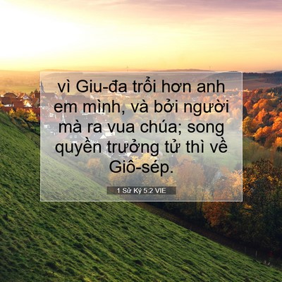 Picture 07 - 1 Sử Ký 5:2 VIE - vì Giu-đa trổi hơn anh em mình, và bởi - Bible Verse Picture