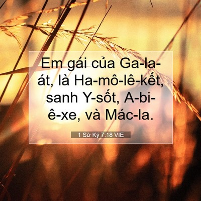 Picture 07 - 1 Sử Ký 7:18 VIE - Em gái của Ga-la-át, là Ha-mô-lê-kết, - Bible Verse Picture