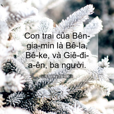 Picture 07 - 1 Sử Ký 7:6 VIE - Con trai của Bên-gia-min là Bê-la, Bê-ke, - Bible Verse Picture