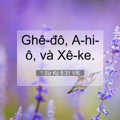 Picture 07 - 1 Sử Ký 8:31 VIE - Ghê-đô, A-hi-ô, và - Bible Verse Picture