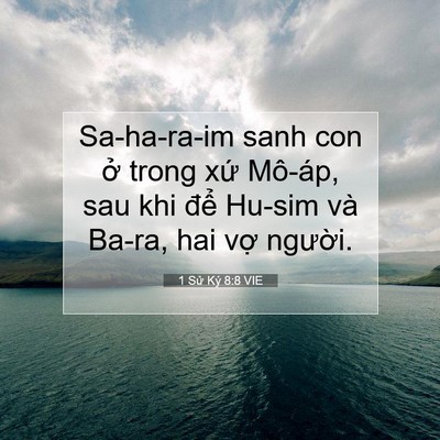 Picture 07 - 1 Sử Ký 8:8 VIE - Sa-ha-ra-im sanh con ở trong xứ Mô-áp, sau - Bible Verse Picture