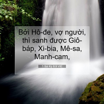 Picture 07 - 1 Sử Ký 8:9 VIE - Bởi Hô-đe, vợ người, thì sanh được - Bible Verse Picture