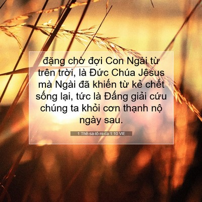 Picture 07 - 1 Thê-sa-lô-ni-ca 1:10 VIE - đặng chờ đợi Con Ngài từ trên trời, - Bible Verse Picture