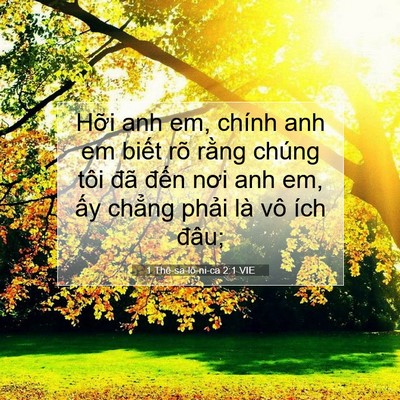 Picture 07 - 1 Thê-sa-lô-ni-ca 2:1 VIE - Hỡi anh em, chính anh em biết rõ rằng - Bible Verse Picture