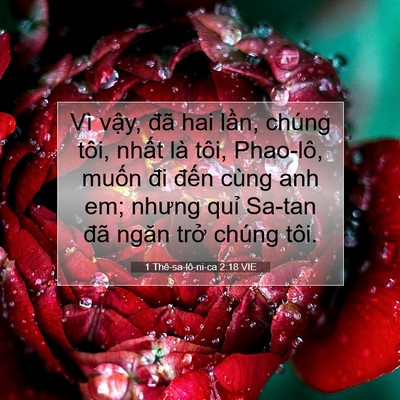 Picture 07 - 1 Thê-sa-lô-ni-ca 2:18 VIE - Vì vậy, đã hai lần, chúng tôi, nhất - Bible Verse Picture