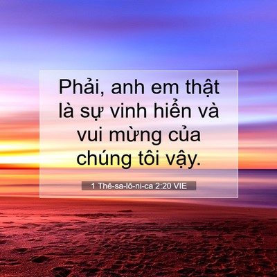 Picture 07 - 1 Thê-sa-lô-ni-ca 2:20 VIE - Phải, anh em thật là sự vinh hiển và - Bible Verse Picture