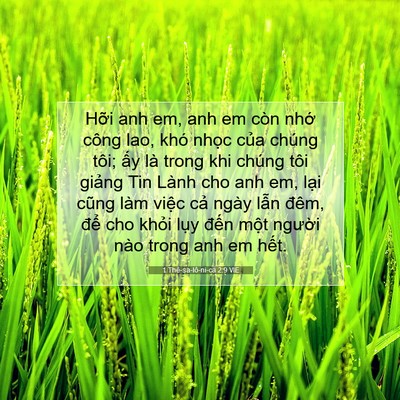 Picture 07 - 1 Thê-sa-lô-ni-ca 2:9 VIE - Hỡi anh em, anh em còn nhớ công lao, khó - Bible Verse Picture