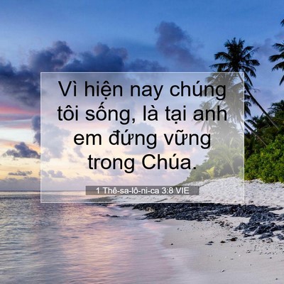 Picture 07 - 1 Thê-sa-lô-ni-ca 3:8 VIE - Vì hiện nay chúng tôi sống, là tại anh - Bible Verse Picture