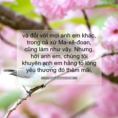 Picture 07 - 1 Thê-sa-lô-ni-ca 4:10 VIE - và đối với mọi anh em khác, trong cả - Bible Verse Picture