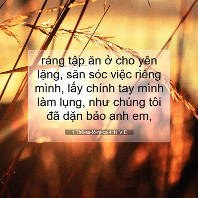 Picture 07 - 1 Thê-sa-lô-ni-ca 4:11 VIE - ráng tập ăn ở cho yên lặng, săn sóc - Bible Verse Picture
