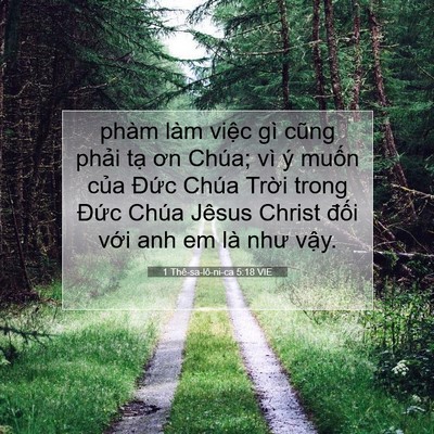 Picture 07 - 1 Thê-sa-lô-ni-ca 5:18 VIE - phàm làm việc gì cũng phải tạ ơn - Bible Verse Picture