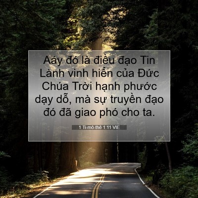 Picture 07 - 1 Ti-mô-thê 1:11 VIE - Aáy đó là điều đạo Tin Lành vinh - Bible Verse Picture