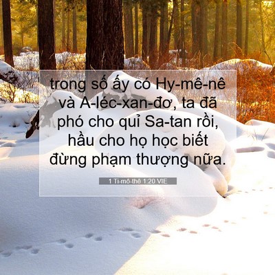 Picture 07 - 1 Ti-mô-thê 1:20 VIE - trong số ấy có Hy-mê-nê và - Bible Verse Picture