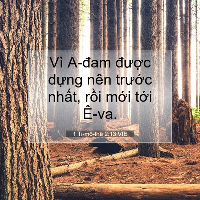 Picture 07 - 1 Ti-mô-thê 2:13 VIE - Vì A-đam được dựng nên trước nhất, - Bible Verse Picture