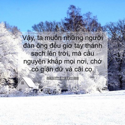 Picture 07 - 1 Ti-mô-thê 2:8 VIE - Vậy, ta muốn những người đàn ông - Bible Verse Picture