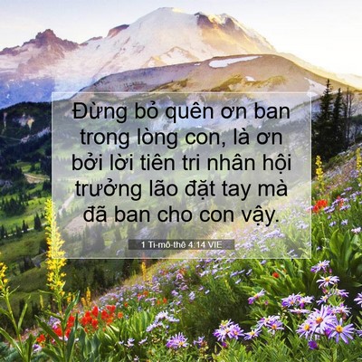 Picture 07 - 1 Ti-mô-thê 4:14 VIE - Đừng bỏ quên ơn ban trong lòng con, là - Bible Verse Picture