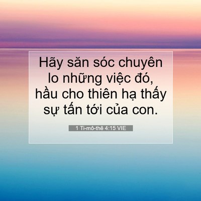 Picture 07 - 1 Ti-mô-thê 4:15 VIE - Hãy săn sóc chuyên lo những việc đó, - Bible Verse Picture