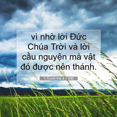 Picture 07 - 1 Ti-mô-thê 4:5 VIE - vì nhờ lời Đức Chúa Trời và lời - Bible Verse Picture