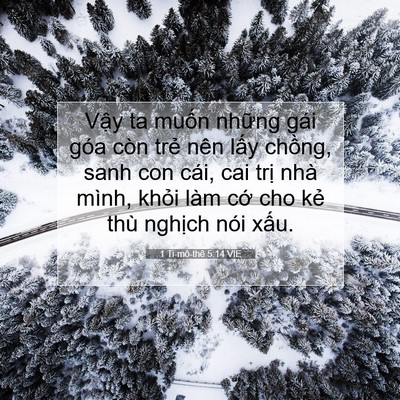 Picture 07 - 1 Ti-mô-thê 5:14 VIE - Vậy ta muốn những gái góa còn trẻ nên - Bible Verse Picture