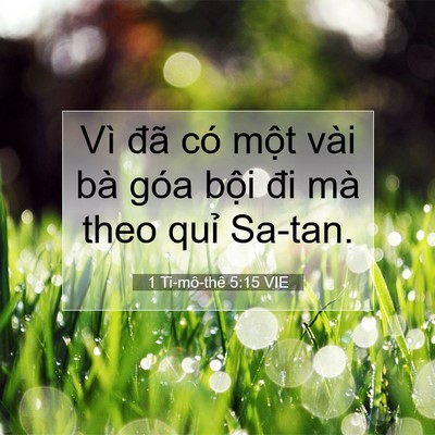 Picture 07 - 1 Ti-mô-thê 5:15 VIE - Vì đã có một vài bà góa bội đi mà - Bible Verse Picture