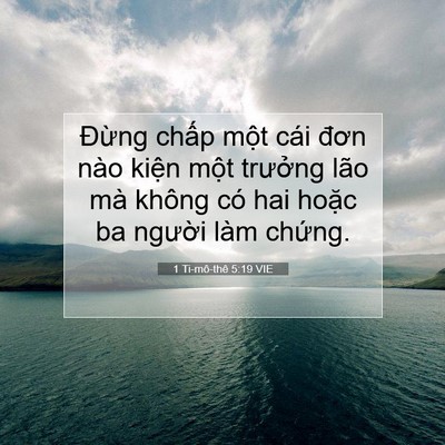 Picture 07 - 1 Ti-mô-thê 5:19 VIE - Đừng chấp một cái đơn nào kiện một - Bible Verse Picture