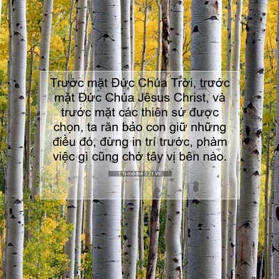 Picture 07 - 1 Ti-mô-thê 5:21 VIE - Trước mặt Đức Chúa Trời, trước - Bible Verse Picture