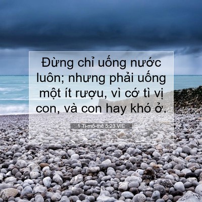 Picture 07 - 1 Ti-mô-thê 5:23 VIE - Đừng chỉ uống nước luôn; nhưng phải - Bible Verse Picture